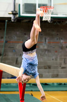 Gymnastics Level 2 • April 2013